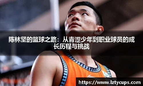 BB贝博登录入口