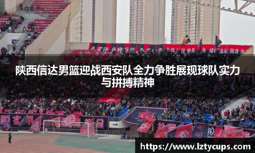 BB贝博登录入口